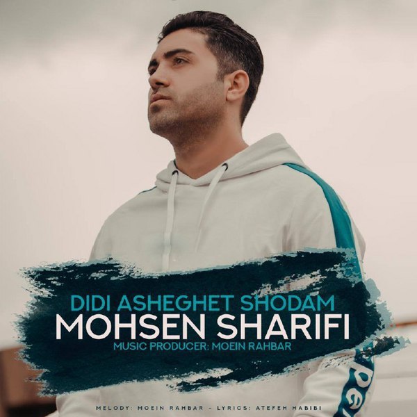 دانلود آهنگ دیدی عاشقت شدم دانلود آهنگ دیدی عاشقت شدم